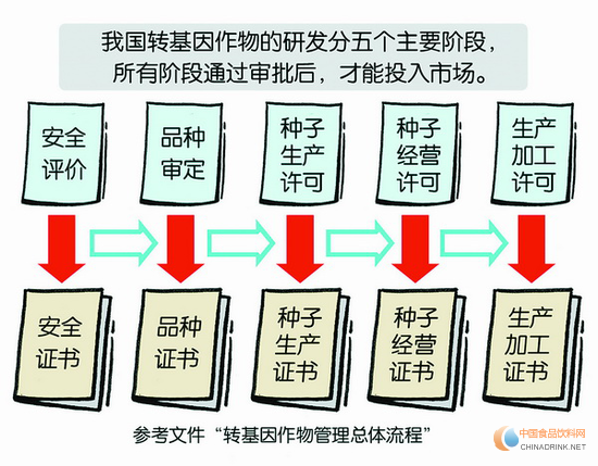 我国转基因作物管理大致流程